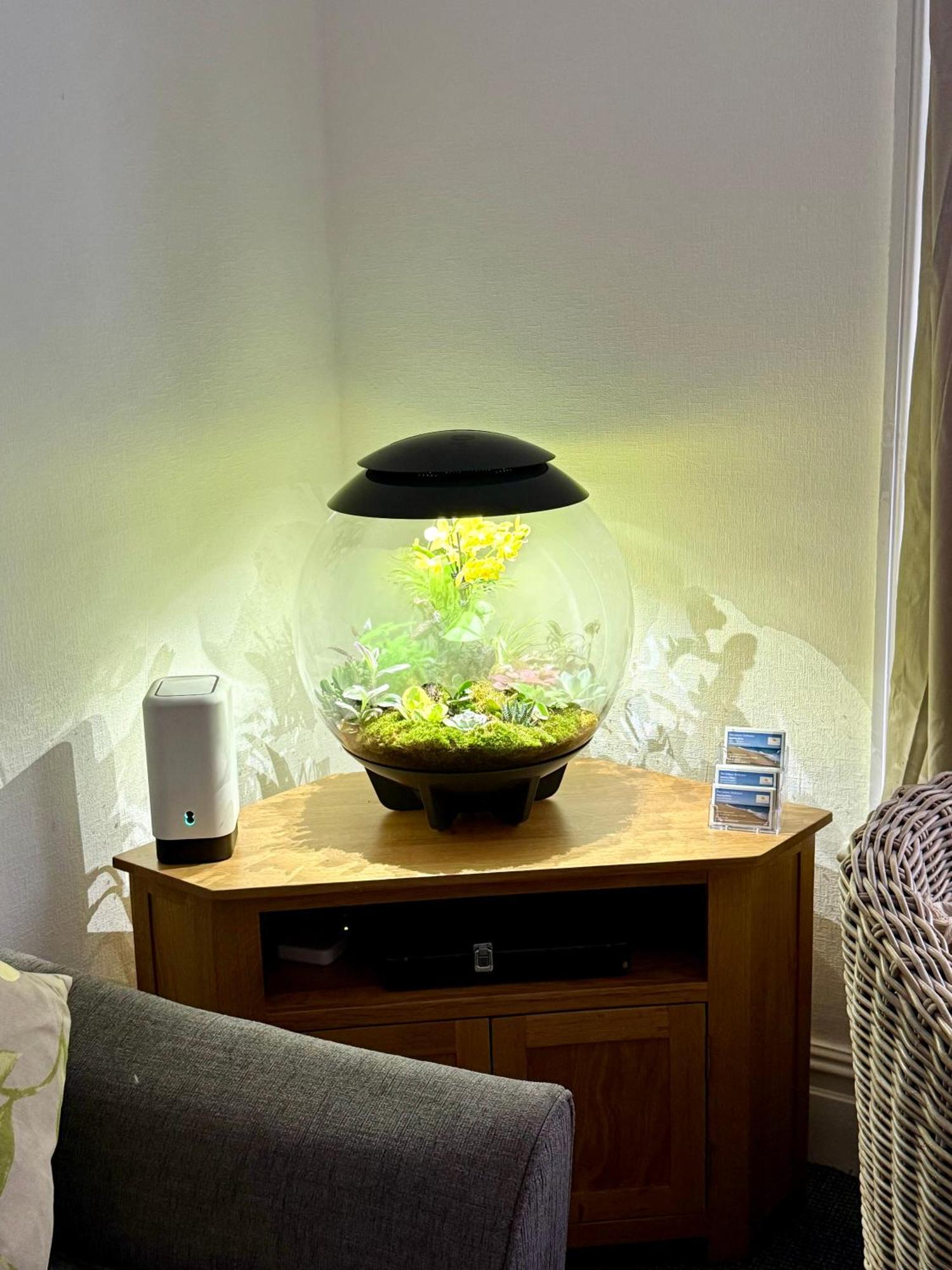 Sunset Hideaway, Apartamento *
